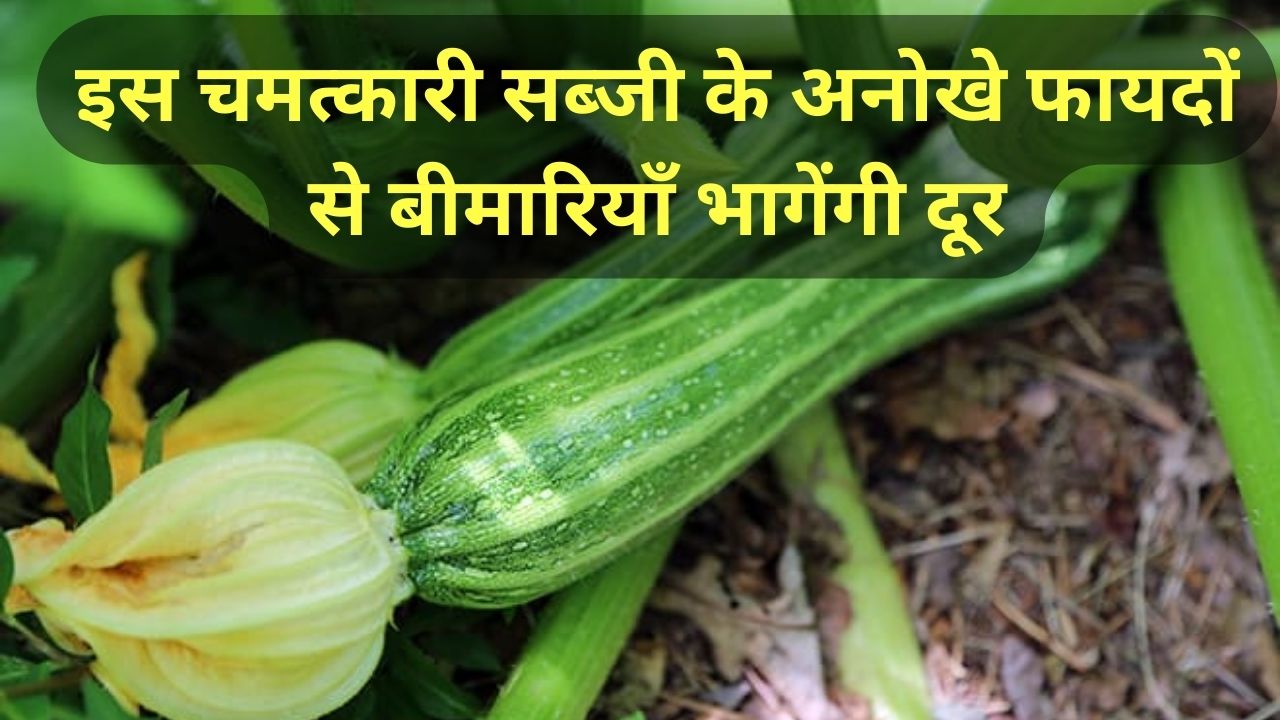 इस चमत्कारी सब्जी के अनोखे फायदों से बीमारियाँ भागेंगी दूर, बाजार में बिकती है 80 रुपए प्रतिकिलो, जानिये कैसे करें खेती