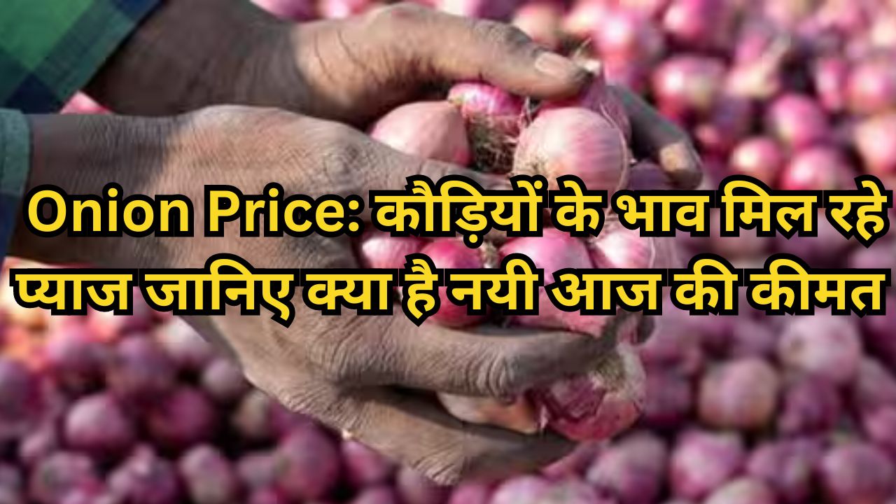 Onion Price: कौड़ियों के भाव मिल रहे प्याज ताजा भाव सुनते ही बाजार में टूट पड़ी लोगों की भीड़, जानिए क्या है नयी आज की कीमत