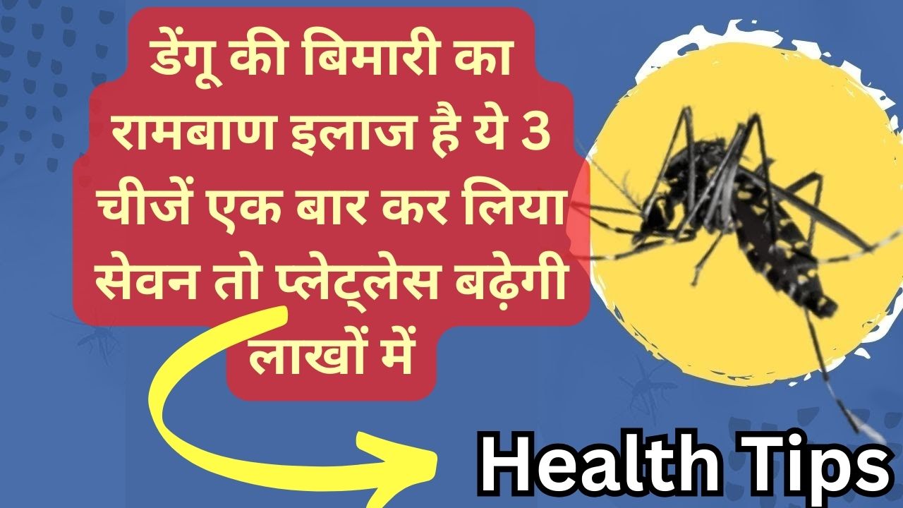 Health Tips: डेंगू की बिमारी का रामबाण इलाज है ये 3 चीजें एक बार कर लिया सेवन तो प्लेट्लेस बढ़ेगी लाखों में...