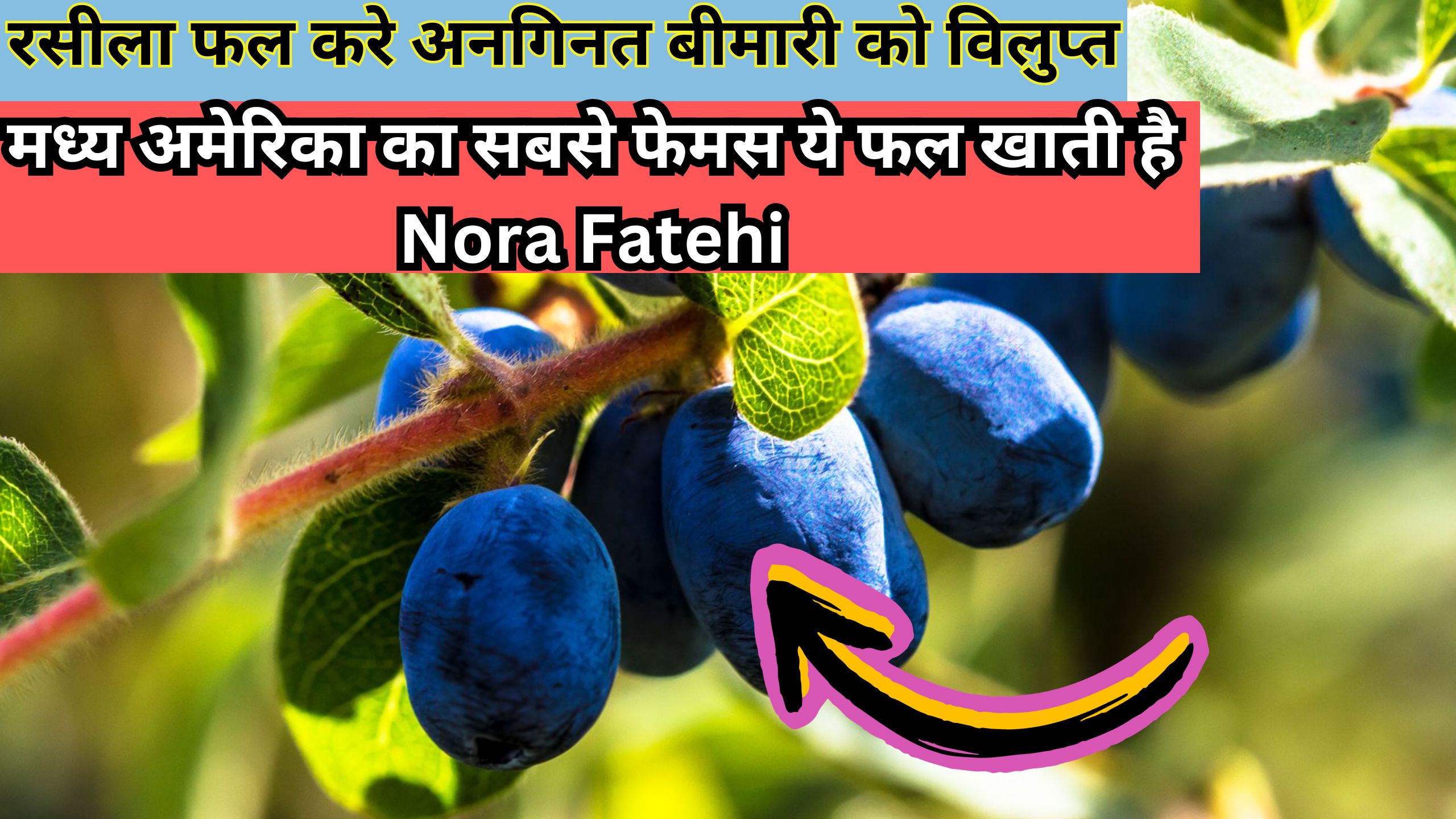 रसीला फल करे अनगिनत बीमारी को विलुप्त, मध्य अमेरिका का सबसे फेमस ये फल, खाती है Nora Fatehi, जानिए इस फल का नाम  