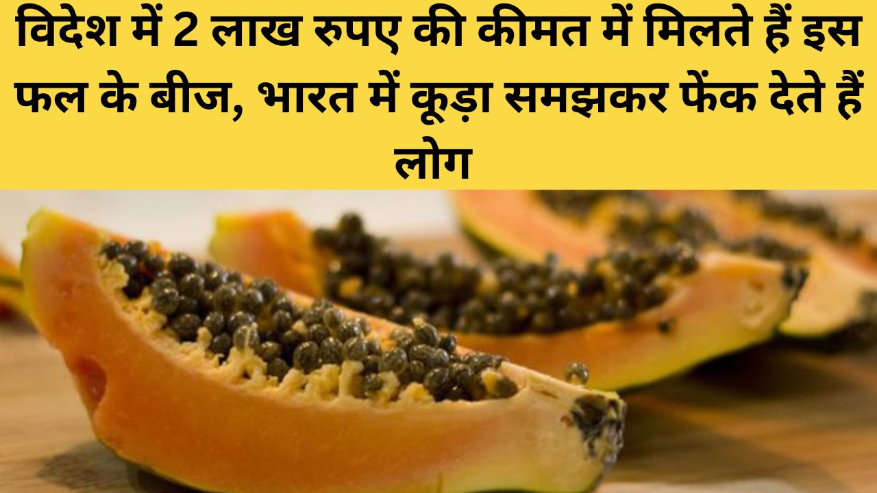 विदेश में 2 लाख रुपए की कीमत में मिलते हैं इस फल के बीज, भारत में कूड़ा समझकर फेंक देते हैं लोग